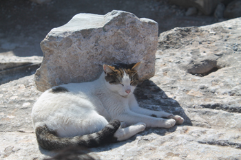 Sleeping in the ruins Ephesus