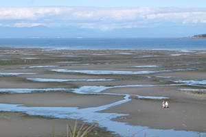 Rathtrevor Beach, Vancouver Island, British Columbia