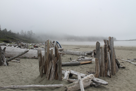 Driftwood