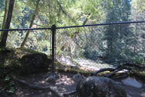 Fence at the edge of the cliff