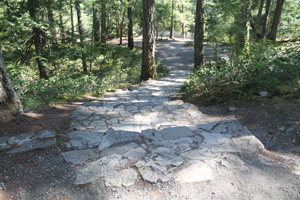 Stairs to picnic shelter at Little Qualicum Falls Park