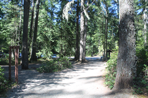 Path from the parking lot to the picnic shelter at Little Qualicum Falls Park
