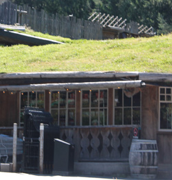 The living roof, Coombs