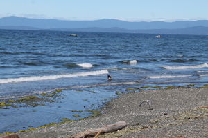 Qualicum Beach, Vancouver Island, British Columbia