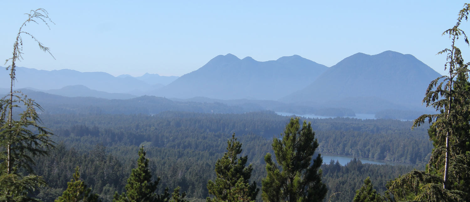 The islands and mountains of the Tofino area