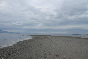 Rathtrevor Beach, Parksville, Vancouver Island