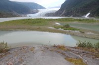 Mendenhall Glacier, Juneau Alaska