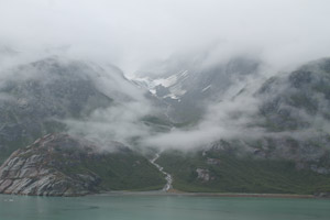 Regrowth, Glacier Bay, Alaska