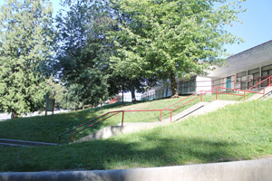 The School